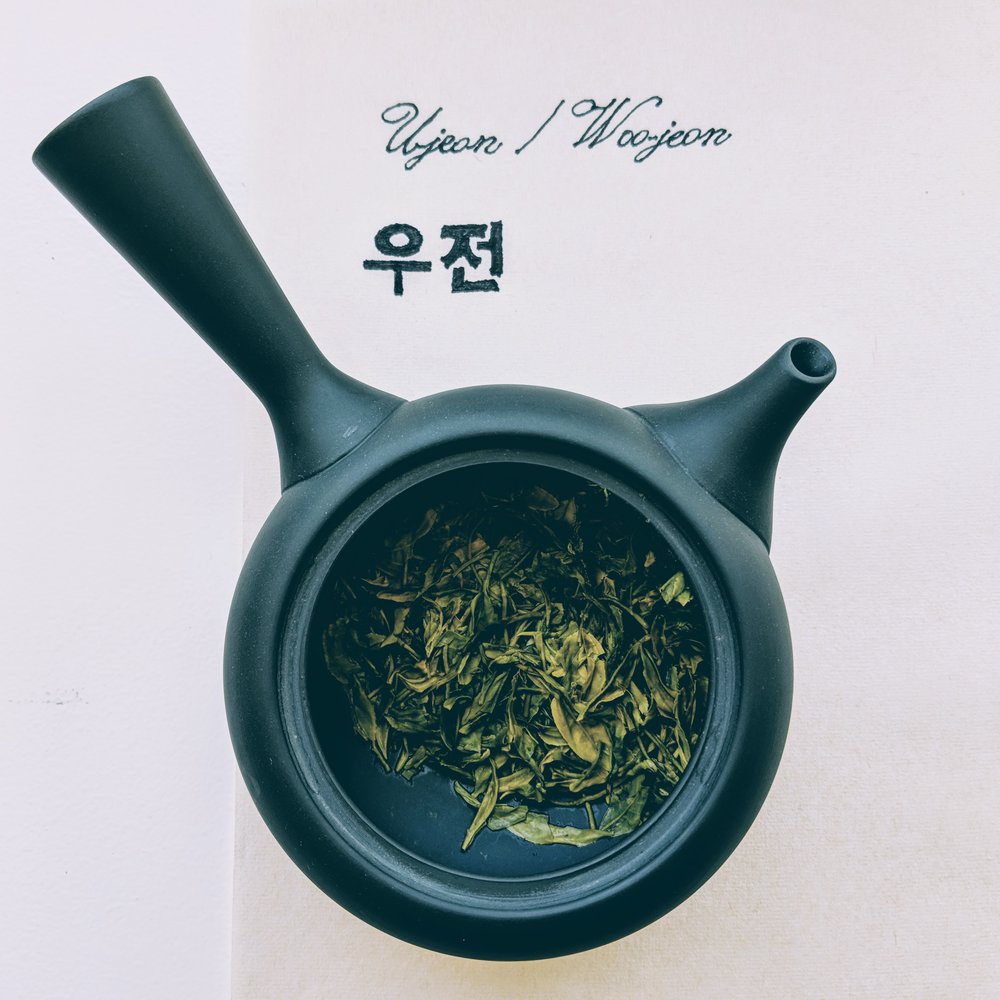 韩国绿茶woo jeon