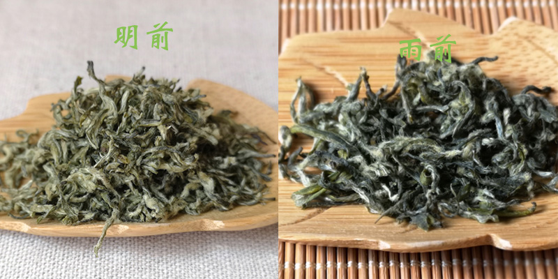 明前碧螺春雨前碧螺春干茶对比