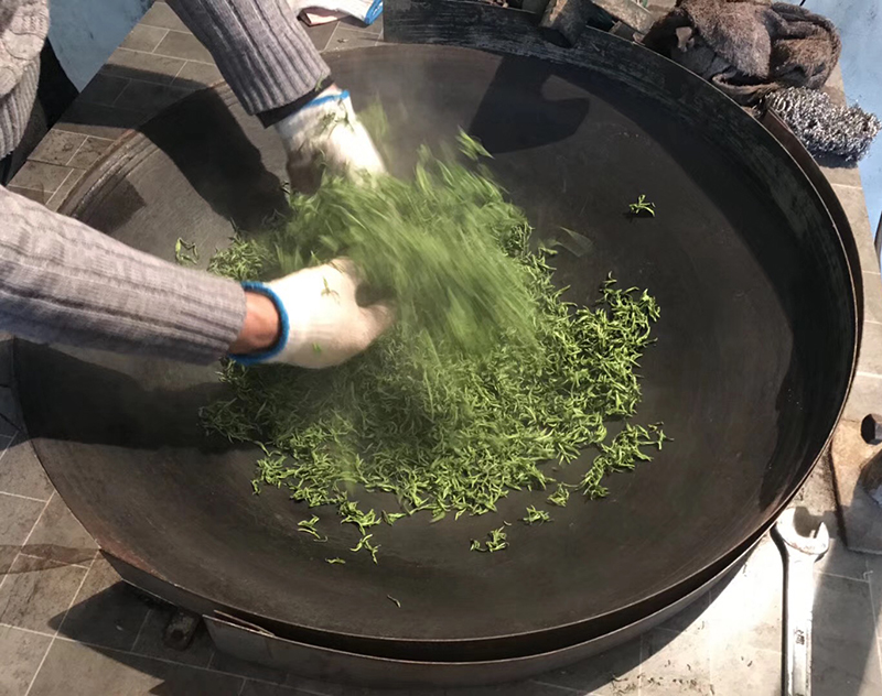 碧螺春新茶