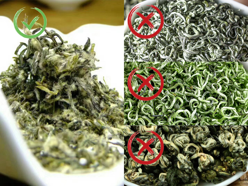 茶农世家的经验之谈——洞庭碧螺春怎么挑选？