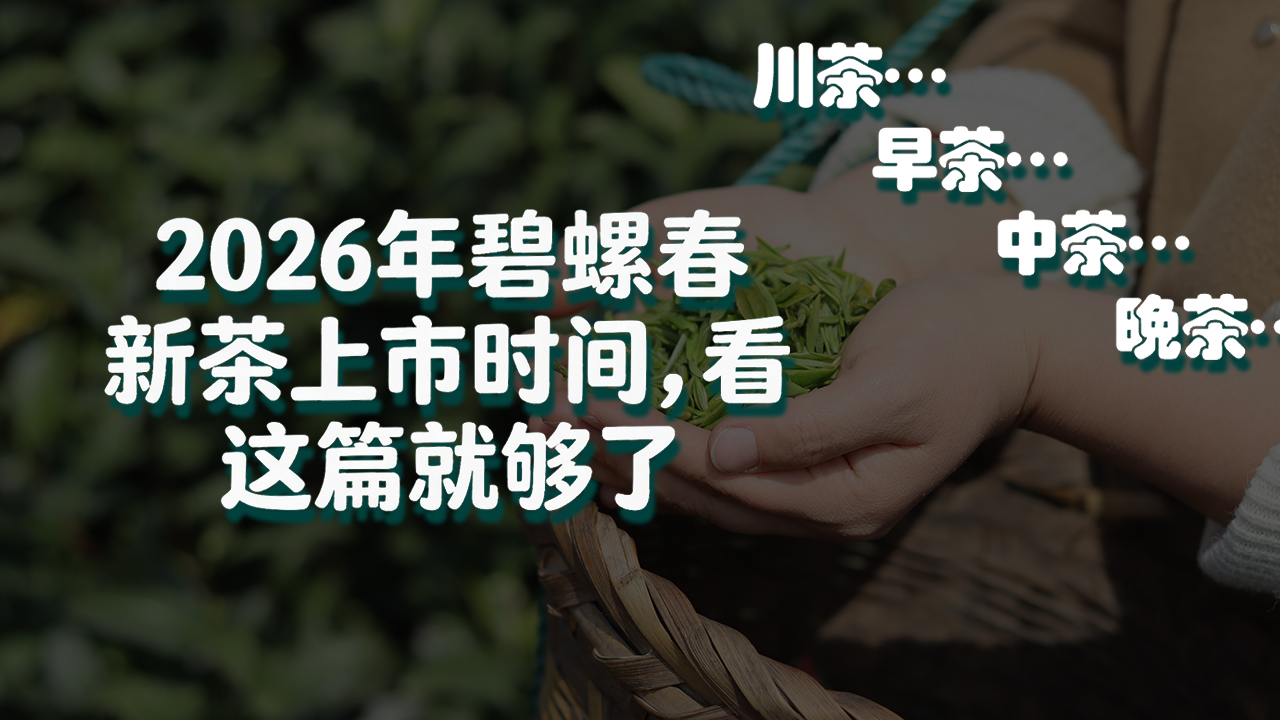 2026年碧螺春上市时间，看这篇就够了