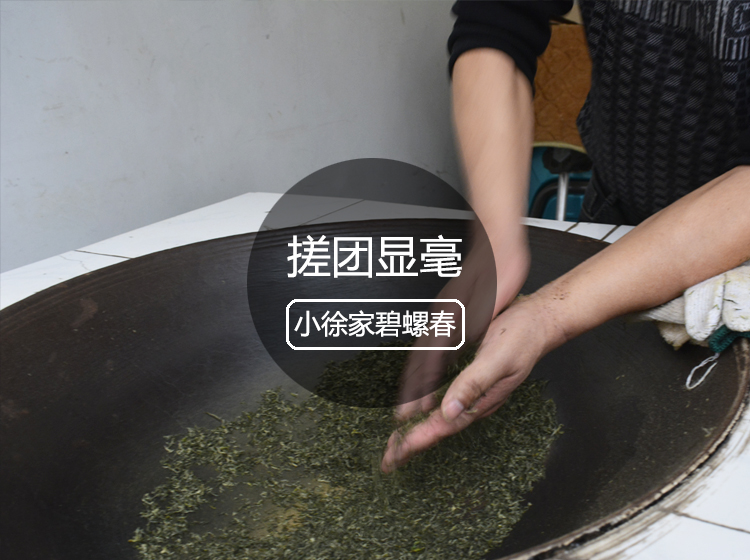 搓团显毫